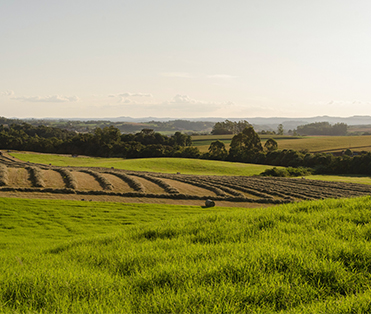 Agricultural export growth